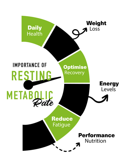 Resting Metabolic Test 